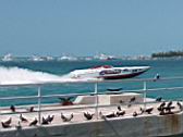 Key West Races (53).JPG